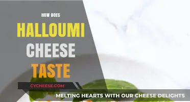 Exploring Halloumi's Unique Flavor: Salty, Chewy, and Grill-Friendly Delight