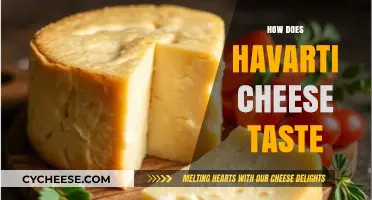 Exploring Havarti Cheese: A Creamy, Buttery, and Mild Flavor Profile