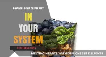 Hemp Cheese Metabolism: How Long Does It Stay in Your System?