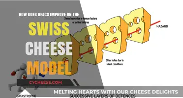 HFACS Enhances Swiss Cheese Model's Holistic View