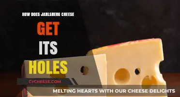 The Mystery of Holes in Jarlsberg Cheese
