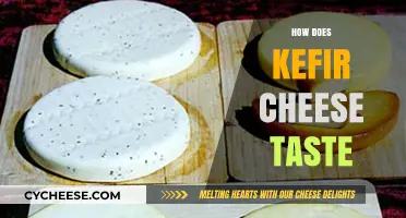 Exploring Kefir Cheese: Unique Flavor, Texture, and Culinary Uses Revealed