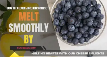 Lemon Juice: The Secret to Smoothly Melted Cheese