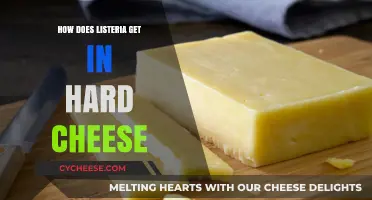 Hard Cheeses and Listeria: How Does It Happen?