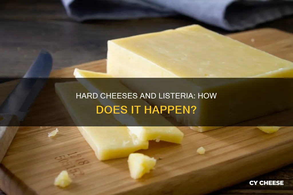 how does listeria get in hard cheese