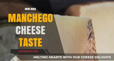 Exploring the Rich, Nutty, and Salty Flavors of Manchego Cheese