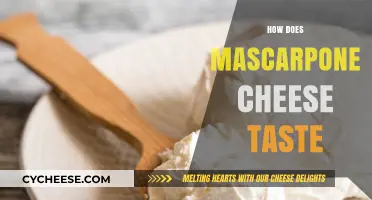 Exploring the Rich, Creamy, and Sweet Taste of Mascarpone Cheese
