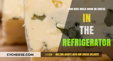 Understanding Mold Growth on Refrigerated Cheese: Causes and Prevention Tips