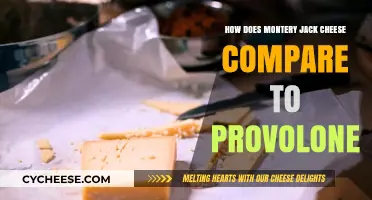 Monterey Jack vs. Provolone: A Cheese Comparison Guide