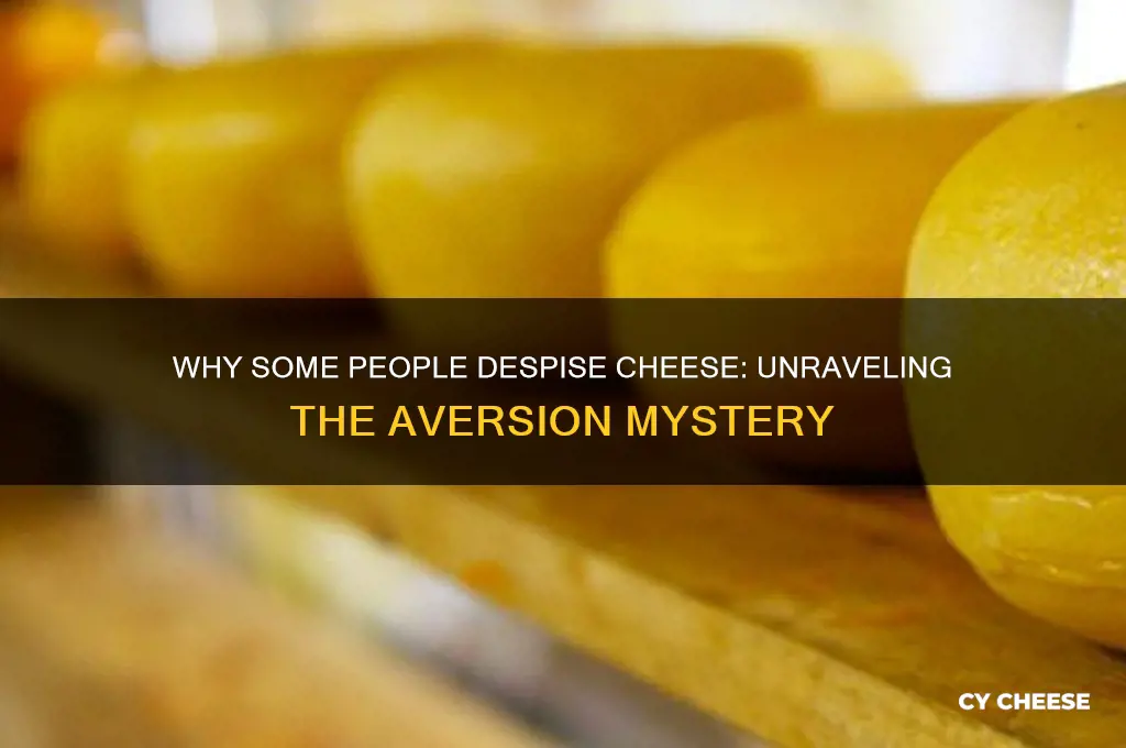 how does one hate cheese