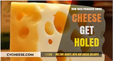 Swiss Cheese Holes: The Science Behind the Perforations