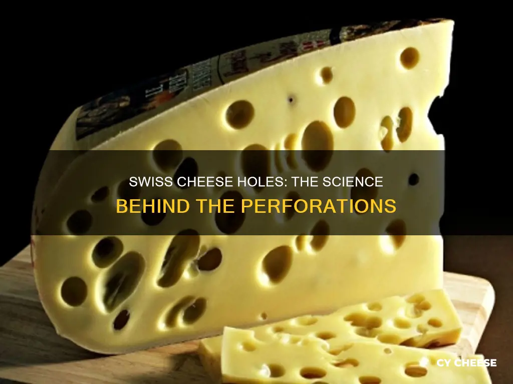 how does packaged swiss cheese get holed