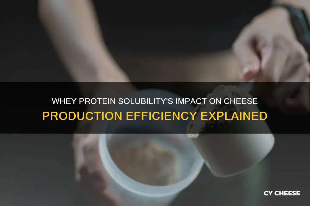 how does protein solubility of whey affect cheese production