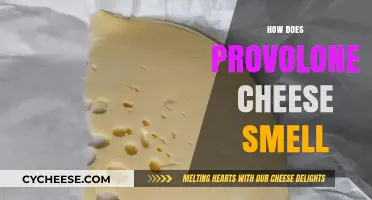 The Distinct Aroma of Provolone Cheese: A Sensory Exploration