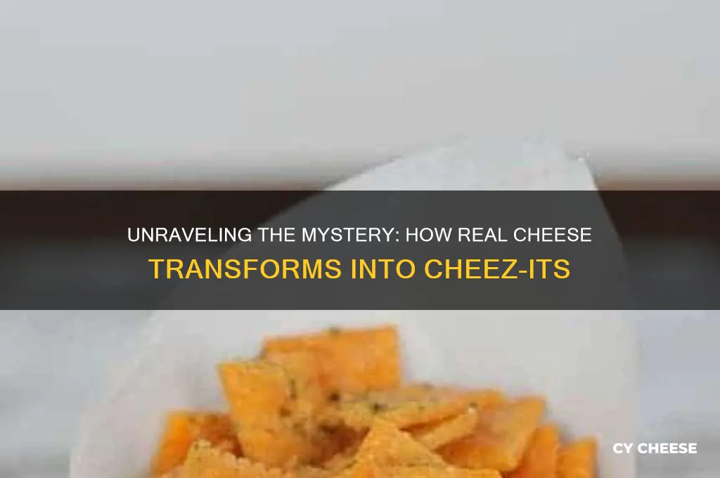 how does real cheese go into cheese its