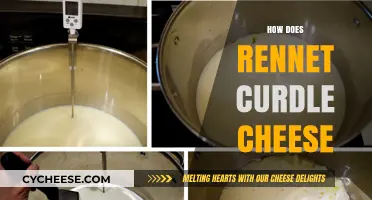 Rennet's Role: Unlocking the Science Behind Cheese Curdling