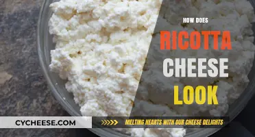 What Does Ricotta Cheese Look Like? A Visual Guide to Its Texture and Appearance