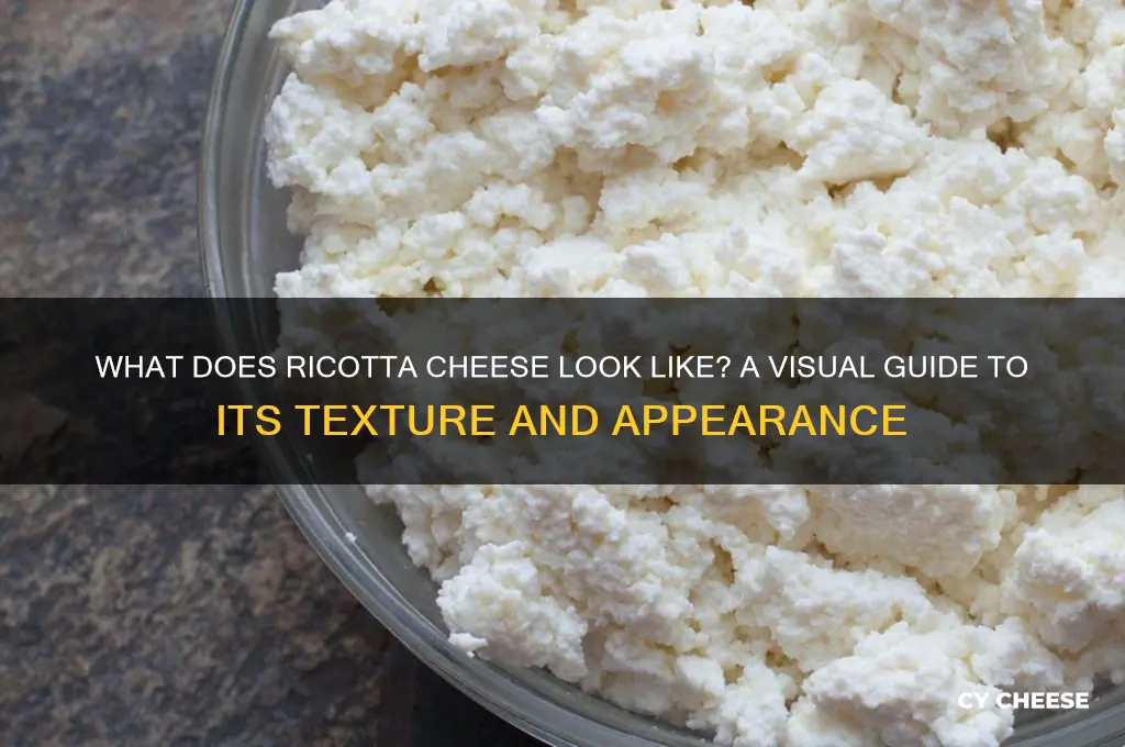 how does ricotta cheese look