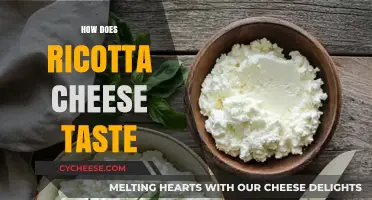 Exploring Ricotta Cheese: A Delicate, Creamy, and Mild Flavor Profile