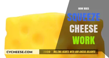 How Squeeze Cheese Works: The Science Behind the Squeeze