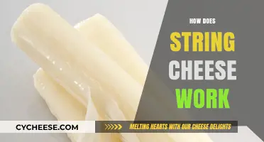 Unraveling the Stretchy Science Behind How String Cheese Works