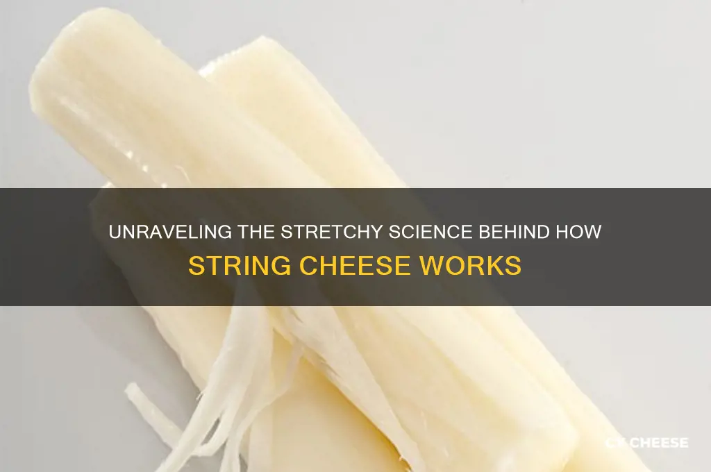 how does string cheese work