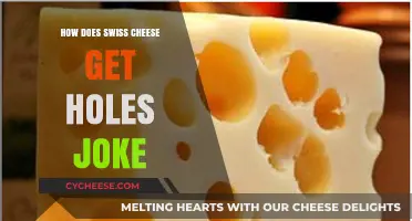 Swiss Cheese Holes: A Cheesy Riddle