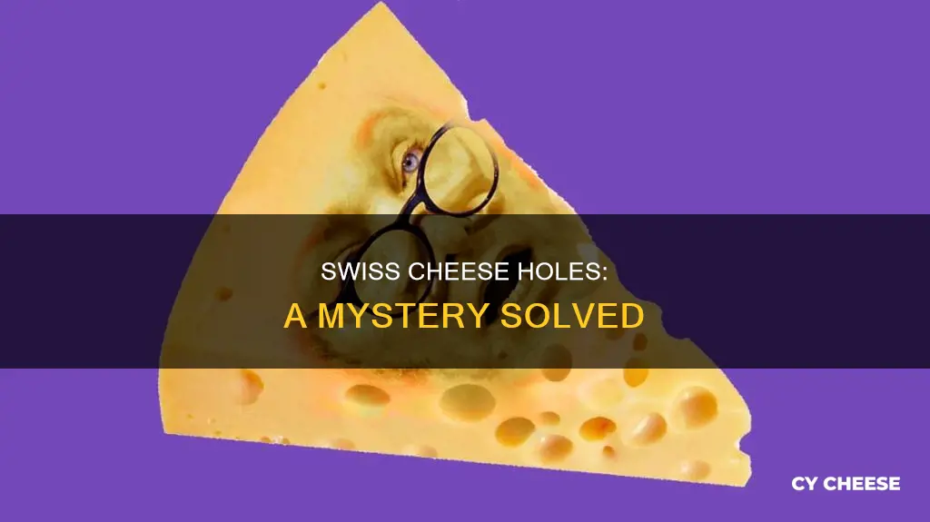 how does swiss cheese get holes