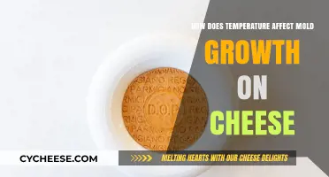 Temperature's Role in Mold Growth: A Cheese Lover's Guide