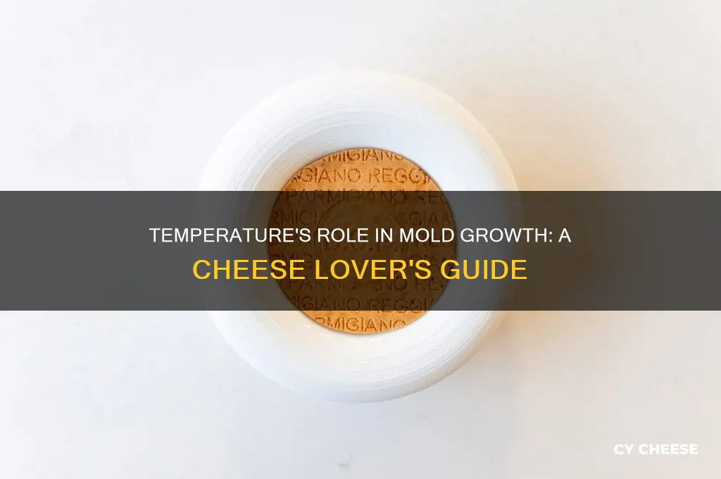 how does temperature affect mold growth on cheese