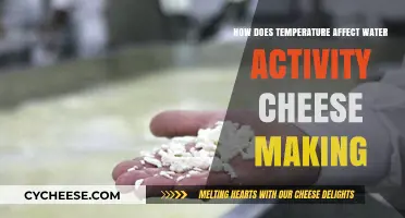 Temperature's Impact on Water Activity in Cheese Making Explained