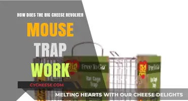 Big Cheese Revolver Mouse Trap: Mechanism, Efficiency, and User Guide