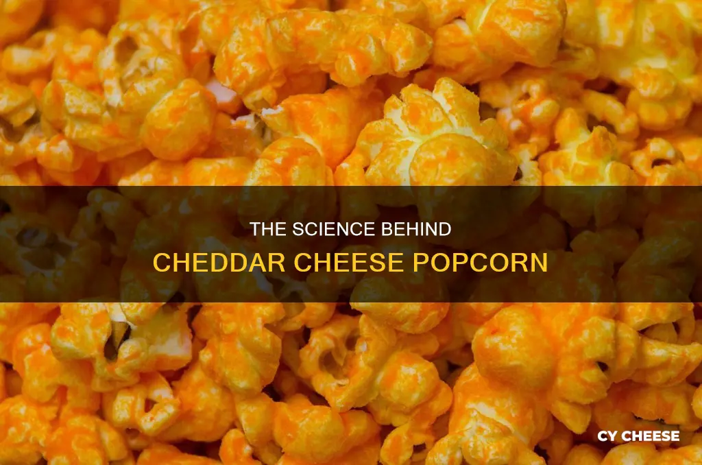 how does the cheddar cheese stay on the popcorn