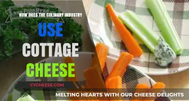 Cottage Cheese in Culinary Arts: Creative Uses and Recipes