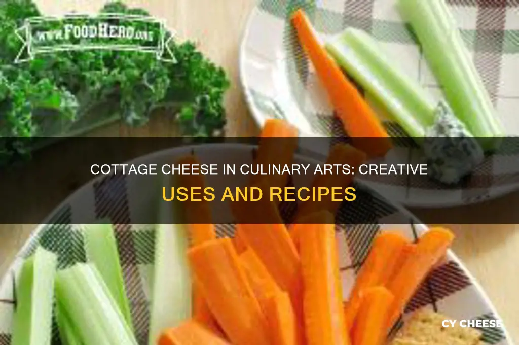 how does the culinary industry use cottage cheese