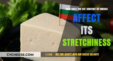 Cheese Fat Content: Unraveling Its Impact on Stretchiness and Texture