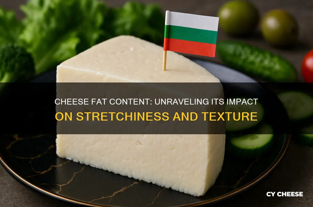 how does the fat content of cheese affect its stretchiness