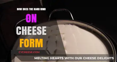Understanding the Natural Process Behind Cheese Rind Formation