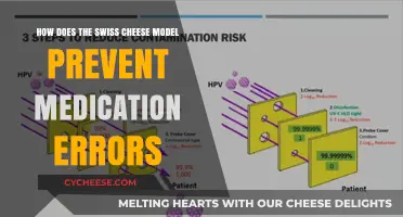 Swiss Cheese Model: Preventing Medication Errors Layer by Layer