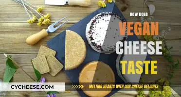 Exploring the Flavor Profile of Vegan Cheese: A Tasty Review