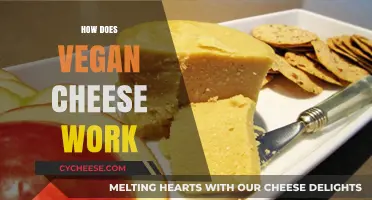 Understanding Vegan Cheese: Ingredients, Process, and Dairy-Free Magic Explained
