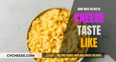 Velveeta Cheese: A Taste of Creamy, Dreamy Deliciousness