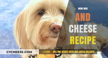 Delicious Dog-Friendly Cheese Recipe Ideas for Your Furry Friend