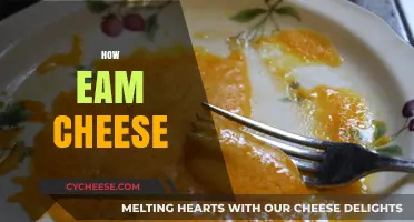 Mastering Homemade Easy Melted Cheese: Simple Steps for Creamy Perfection