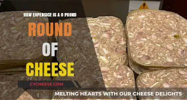 Costly Cheese: Unwrapping the Price of a 9-Pound Round