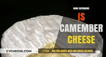 Camembert Cheese Cost: Is This French Delight Worth the Price?