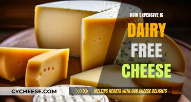 The High Cost of Dairy-Free Cheese