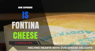 Exploring Fontina Cheese: Cost, Quality, and Value for Cheese Lovers