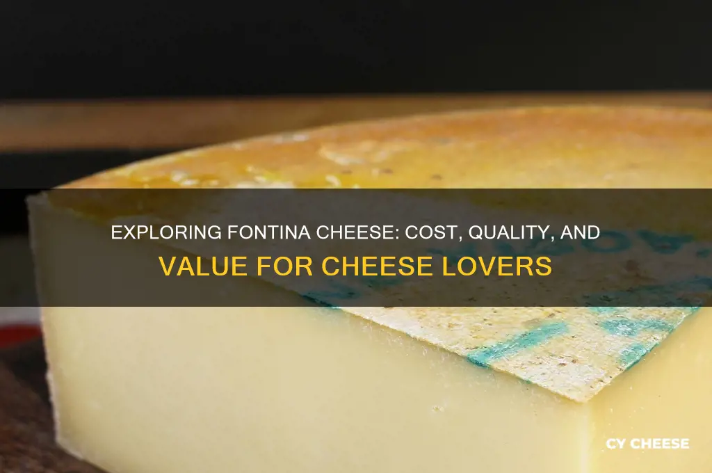 how expensive is fontina cheese