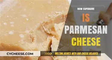 Parmesan Cheese: A Costly Delicacy